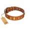 "Egyptian Script" FDT Artisan Tan Leather Riesenschnauzer Collar with Plates and Small Studs