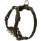 Durable Spiked Leather Puppy Riesenschnauzer Harness