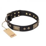 "Jewel Passion" FDT Artisan Fashionable Black Leather Riesenschnauzer Collar