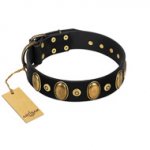 "Venerable Pawty" FDT Artisan Black Leather Riesenschnauzer Collar with Old Bronze-like Ovals and Studs