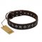 "Stars of Glory" FDT Artisan Brown Leather Riesenschnauzer Collar for Comfortable Walking