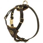 Tracking Walking Walking Leather Riesenschnauzer Harness for Puppies