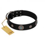 "Blue Gems" FDT Artisan Black Leather Riesenschnauzer Collar with Chrome Plated Studs and Conchos