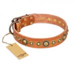 "Feast of Luxury" FDT Artisan Tan Leather Riesenschnauzer Collar with Old Bronze Look Circles