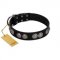 "Magic Amulete" Handcrafted FDT Artisan Black Leather Riesenschnauzer Collar with Chrome-Plated Shields