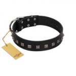 "Natural Beauty" Premium Quality FDT Artisan Black Designer Riesenschnauzer Collar with Dotted Studs