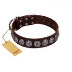 "Charming Circles" FDT Artisan Brown Leather Riesenschnauzer Collar with Silver-like Studs