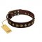 "Street Fashion" FDT Artisan Brown Leather Riesenschnauzer Collar Adorned with Circles and Skulls