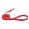 Red Waterproof Riesenschnauzer Leash Made of Biothane