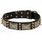 Riesenschnauzer Spiked Leather Collar with Nickel Plates