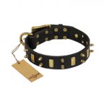 "Medieval Style" FDT Artisan Leather Riesenschnauzer Collar with Brass Plated Plates and Spikes