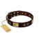"Bow-Wow Effect" FDT Artisan Brown Leather Riesenschnauzer Collar with Plates and Ornate Studs