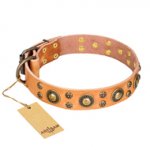 "Sophisticated Glamor" FDT Artisan Leather Riesenschnauzer Collar with Fancy Old Bronze-like Plated Decorations