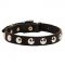 Beautiful Leather Riesenschnauzer Collar Decorated with Half-Ball Studs