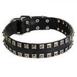New Leather Riesenschnauzer Collar - Fashion Exclusive Design - "Caterpillar"