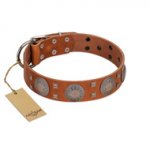 "Sun Rise Noon" FDT Artisan Tan Leather Riesenschnauzer Collar with Unique Design