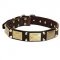 Leather Riesenschnauzer Collar with Studs and Plates