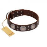 "Imperial Legate" FDT Artisan Brown Leather Riesenschnauzer Collar with Big Round Plates