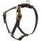 Y-Shaped Leather Riesenschnauzer Harness for Tracking and Training
