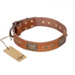 "Catchy Look" FDT Artisan Decorated Tan Leather Riesenschnauzer Collar