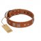 "Egyptian Gifts" Handmade FDT Artisan Tan Leather Riesenschnauzer Collar with Chrome-plated Pyramids