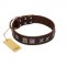 "Needle Stories" Modern FDT Artisan Brown Leather Riesenschnauzer Collar with Square Engraved Plates and Four-Point Stars