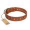 "Natural Beauty" FDT Artisan Tan Leather Riesenschnauzer Collar with Shining Silver-like Studs