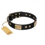 "Antique Gloss" FDT Artisan Black Leather Riesenschnauzer Collar with Bronze-like Plates and Small Studs