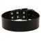 Extra Wide Leather Riesenschnauzer Collar for Professional Training