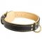 Padded Leather Riesenschnauzer Collar