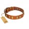 "Olive Slice" FDT Artisan Tan Leather Riesenschnauzer Collar with Engraved and Smooth Plates