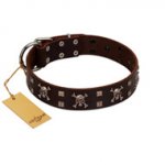 "Menacing Allure" FDT Artisan Brown Leather Riesenschnauzer Collar Embellished with Silvery Crossbones and Square Studs