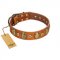 "Crystal Sand" FDT Artisan Tan Leather Riesenschnauzer Collar with Vintage Looking Oval and Round Studs