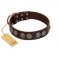 "Treasure Hunter" FDT Artisan Brown Leather Riesenschnauzer Collar with Old-Bronze-like and Silvery Medallions