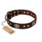 "Breath of Elegance" FDT Artisan Decorated with Plates Brown Leather Riesenschnauzer Collar