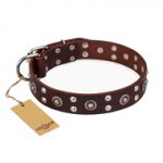 "Pirate Treasure" FDT Artisan Exciting Brown Leather Riesenschnauzer Collar with Studs