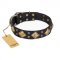 "Fancy-Schmancy" FDT Artisan Studded Leather Riesenschnauzer Collar