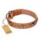 "Era of Future" FDT Artisan Handcrafted Tan Leather Riesenschnauzer Collar with Decorations