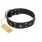 "Star Excitement" Modern FDT Artisan Black Leather Riesenschnauzer Collar with Studs and Stars