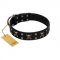 "Black Jack" Stylish Handmade FDT Artisan Black Leather Riesenschnauzer Collar