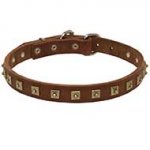 Handcrafted 1 Row Square Studded Leather Riesenschnauzer Collar