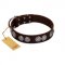 "High and Mighty" FDT Artisan Classy Brown Leather Riesenschnauzer Collar with Embellished Brooches