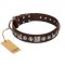 "Pierian spring" FDT Artisan Brown Leather Riesenschnauzer Collar with Silvery Decorations