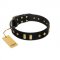 "De Luxe" FDT Artisan Black Leather Riesenschnauzer Collar with Old Bronze-like Plates and Studs