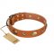 "Visual Magic" FDT Artisan Tan Leather Riesenschnauzer Collar for Daily Activities