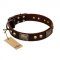 "Magic Amulet" Brown Leather Riesenschnauzer Collar with Skulls and Plates