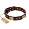 "Shining Armour" FDT Artisan Brown Leather Riesenschnauzer Collar with Decorations