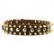 Spiked and Studded Riesenschnauzer Leather Collar