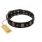 Pirate's Spell' FDT Artisan Black Leather Riesenschnauzer Collar with Engraved Studs and Medallions
