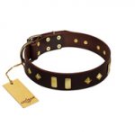 "Blinking Illusion" FDT Artisan Brown Leather Riesenschnauzer Collar with Old Bronze-like Studs and Plates